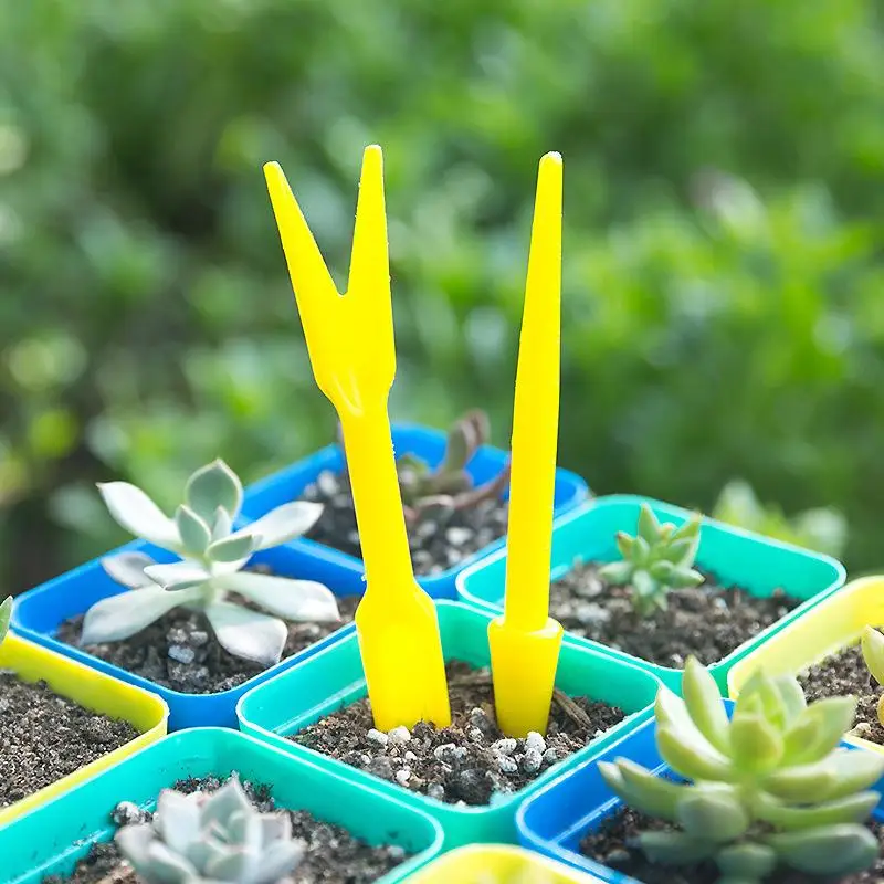 Succulent Set - 1/10Pcs 파종 다육 식물 이식 묘목