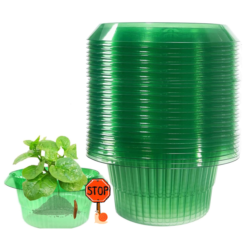 Terracotta Pot - 5-25Pcs 식물 슬러그 보호 반지 녹색