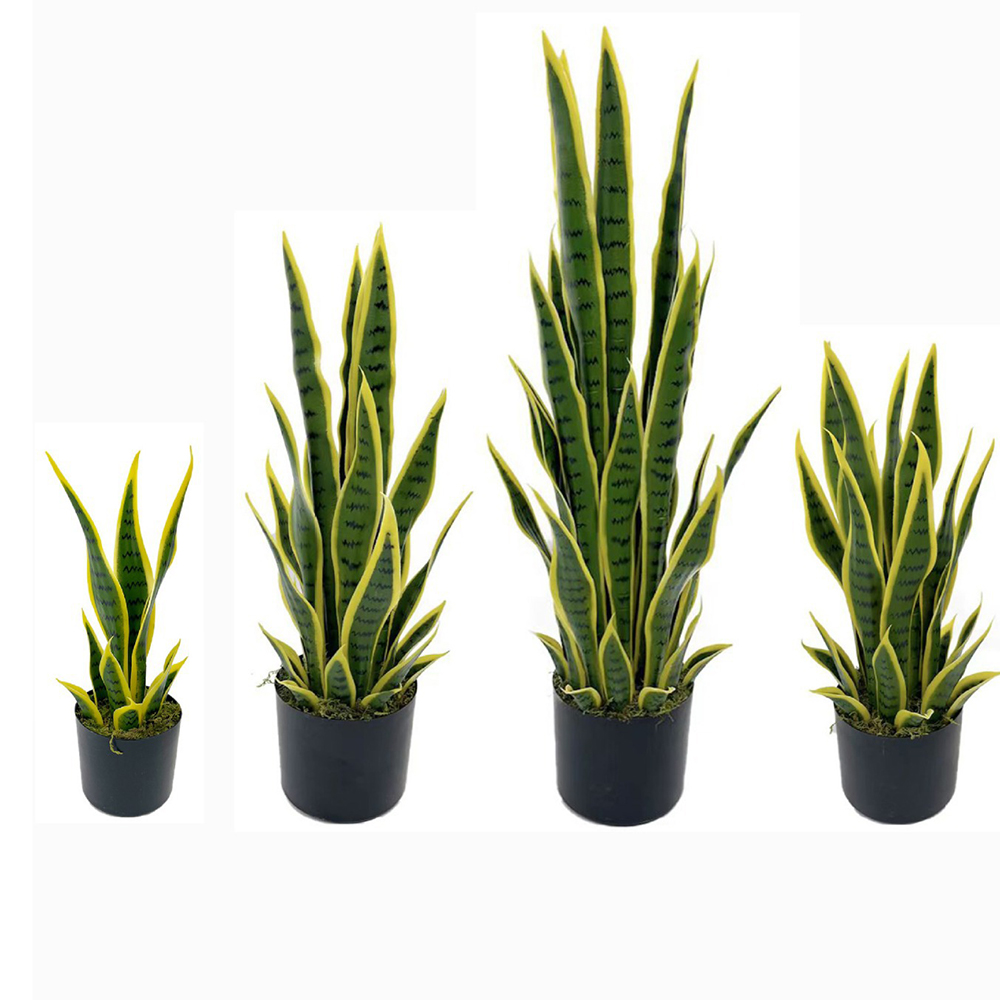 Snake Plant - 40-100cm 인조 산세베리아 스네이크 플랜트, 검정색