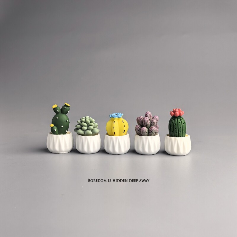 Succulent Set - 화분에 심은 선인장 다육식물 미니 워크스테이션