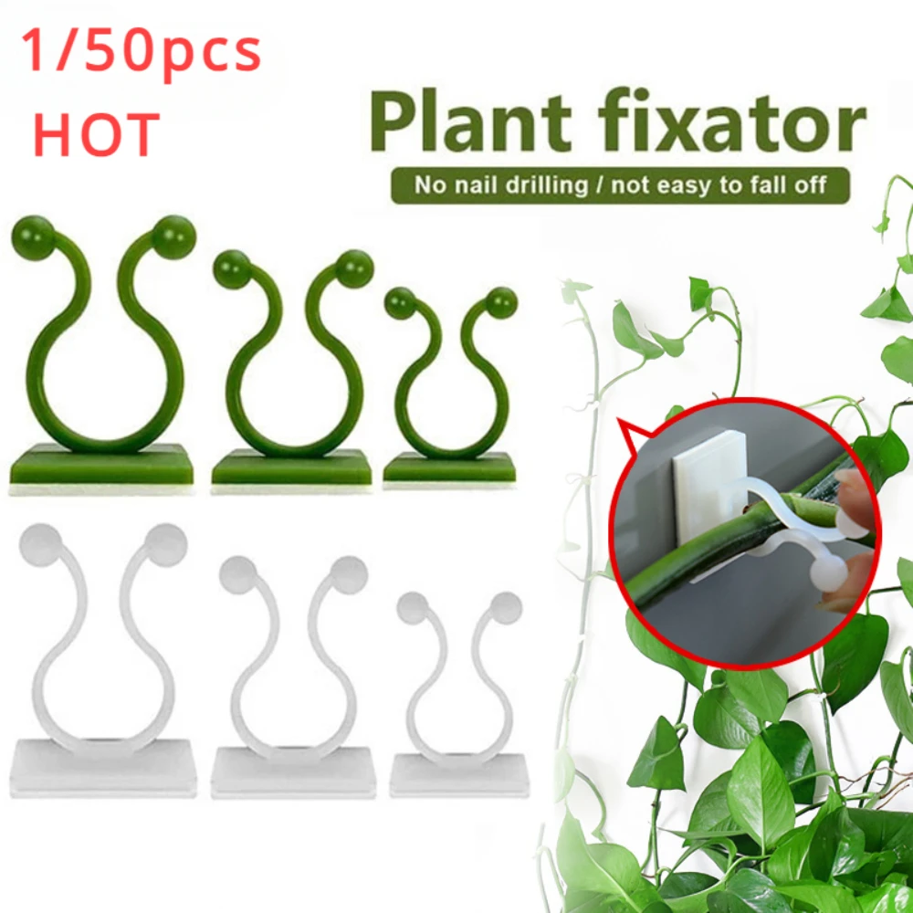 Plant Support Stake - 정원 액세서리에 대 한 1/30/50Pcs 식물