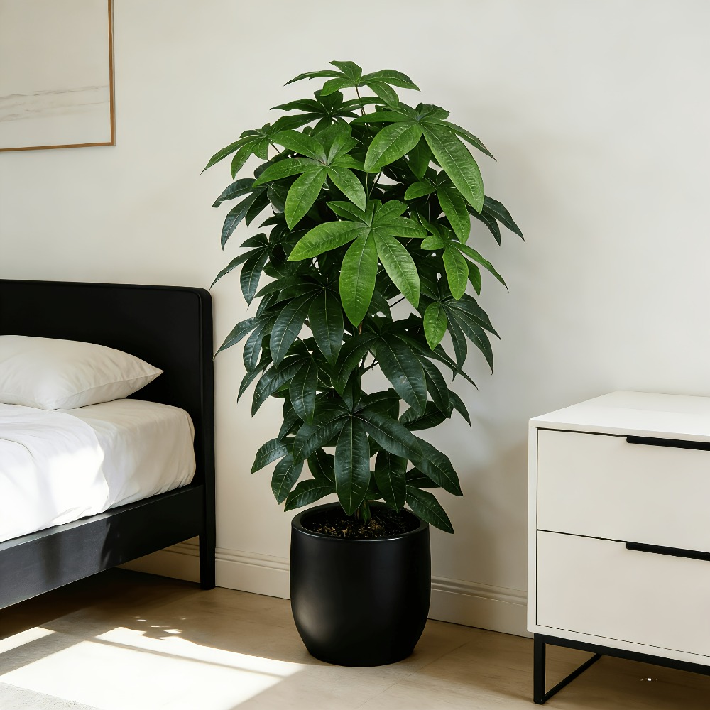 Snake Plant - 과학적인 돈나무 특징을 지닌 인공 돈나무
