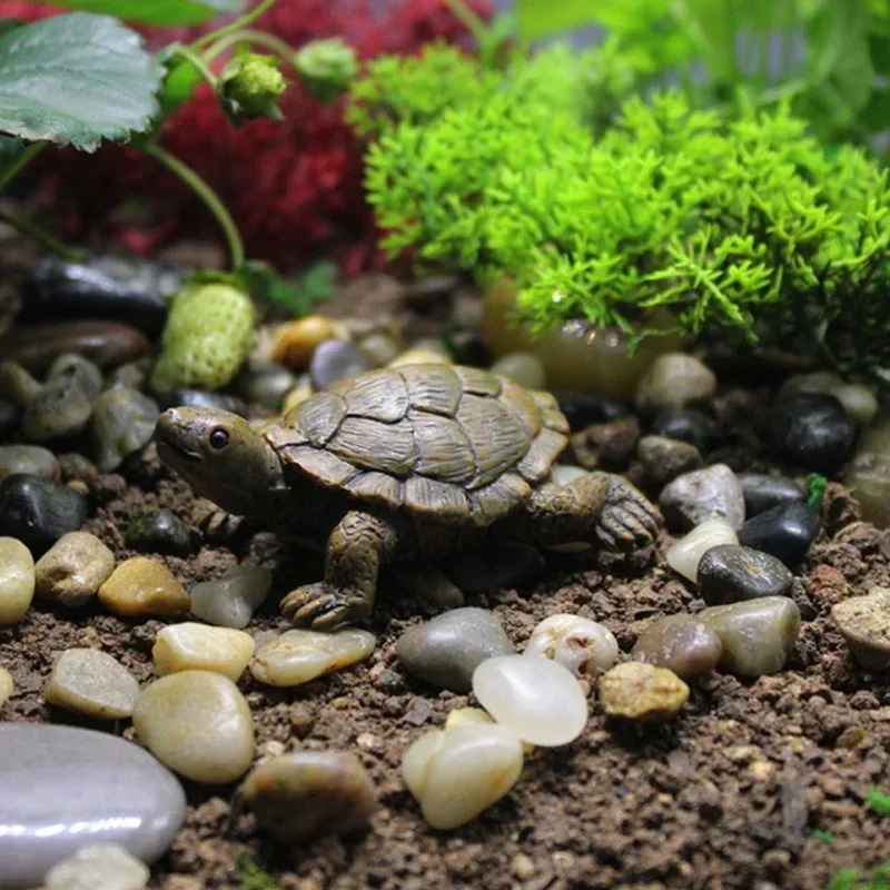 수지 시뮬레이션 작은 거북이 공예 마이크로 풍경 원예  - Succulent Set 리뷰 및 가격