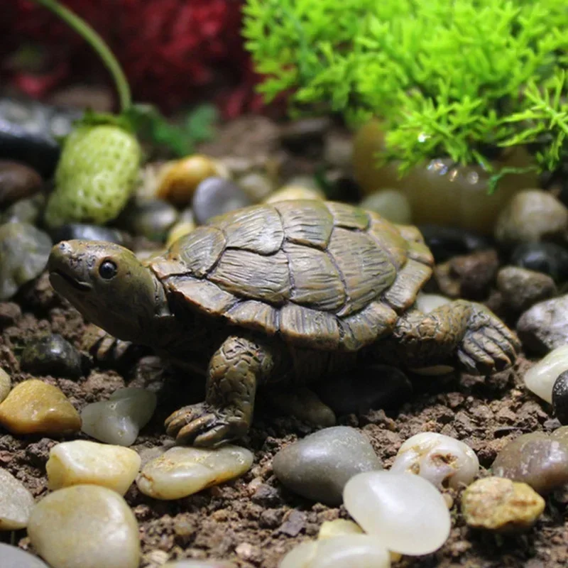 수지 시뮬레이션 작은 거북이 공예 마이크로 풍경 원예  - Succulent Set 리뷰 및 가격