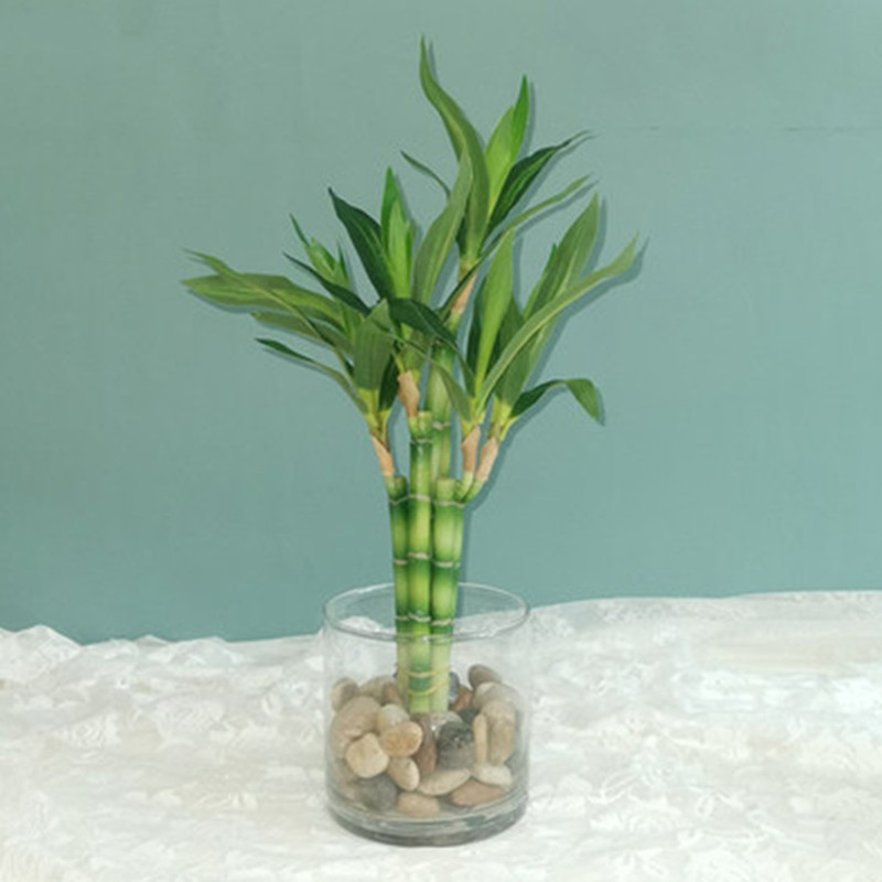 새로운 40cm 인조 행운나무 다육식물 가짜 꽃 녹색  - Snake Plant 리뷰 및 가격