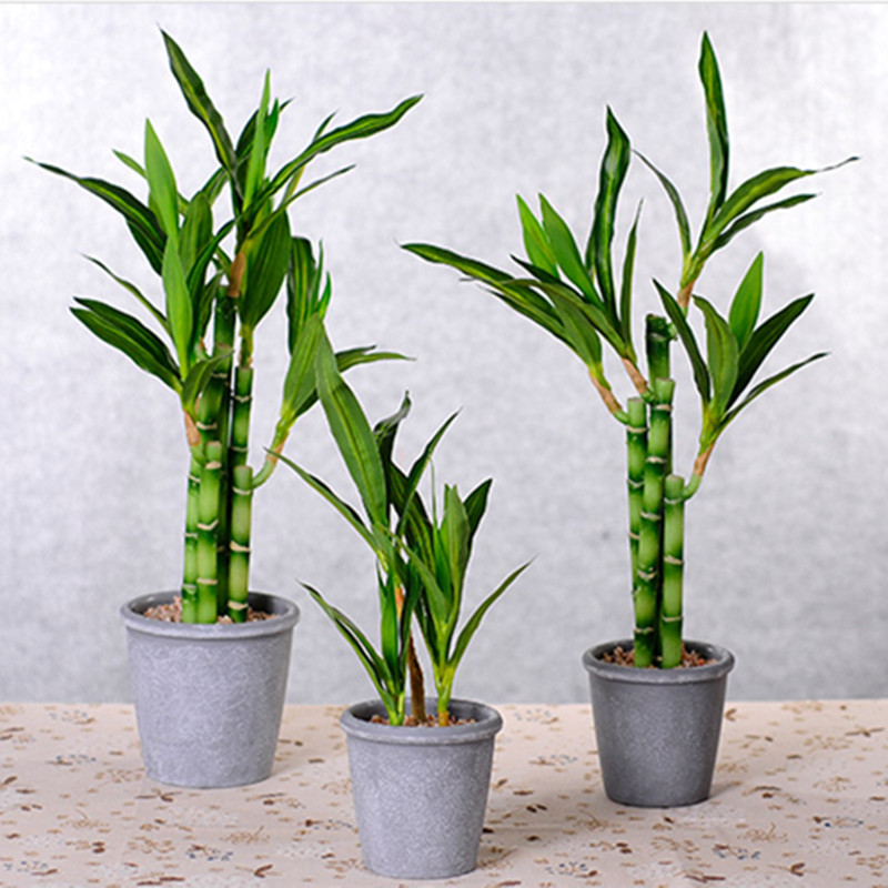 새로운 40cm 인조 행운나무 다육식물 가짜 꽃 녹색  - Snake Plant 리뷰 및 가격