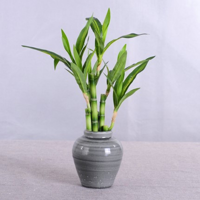 새로운 40cm 인조 행운나무 다육식물 가짜 꽃 녹색  - Snake Plant 리뷰 및 가격