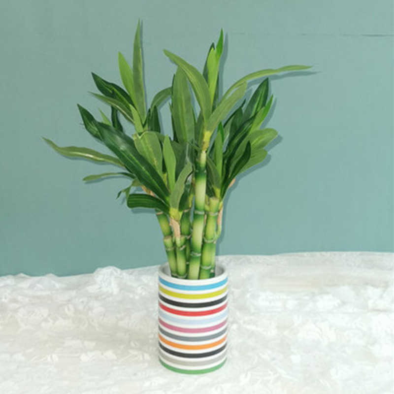새로운 40cm 인조 행운나무 다육식물 가짜 꽃 녹색  - Snake Plant 리뷰 및 가격