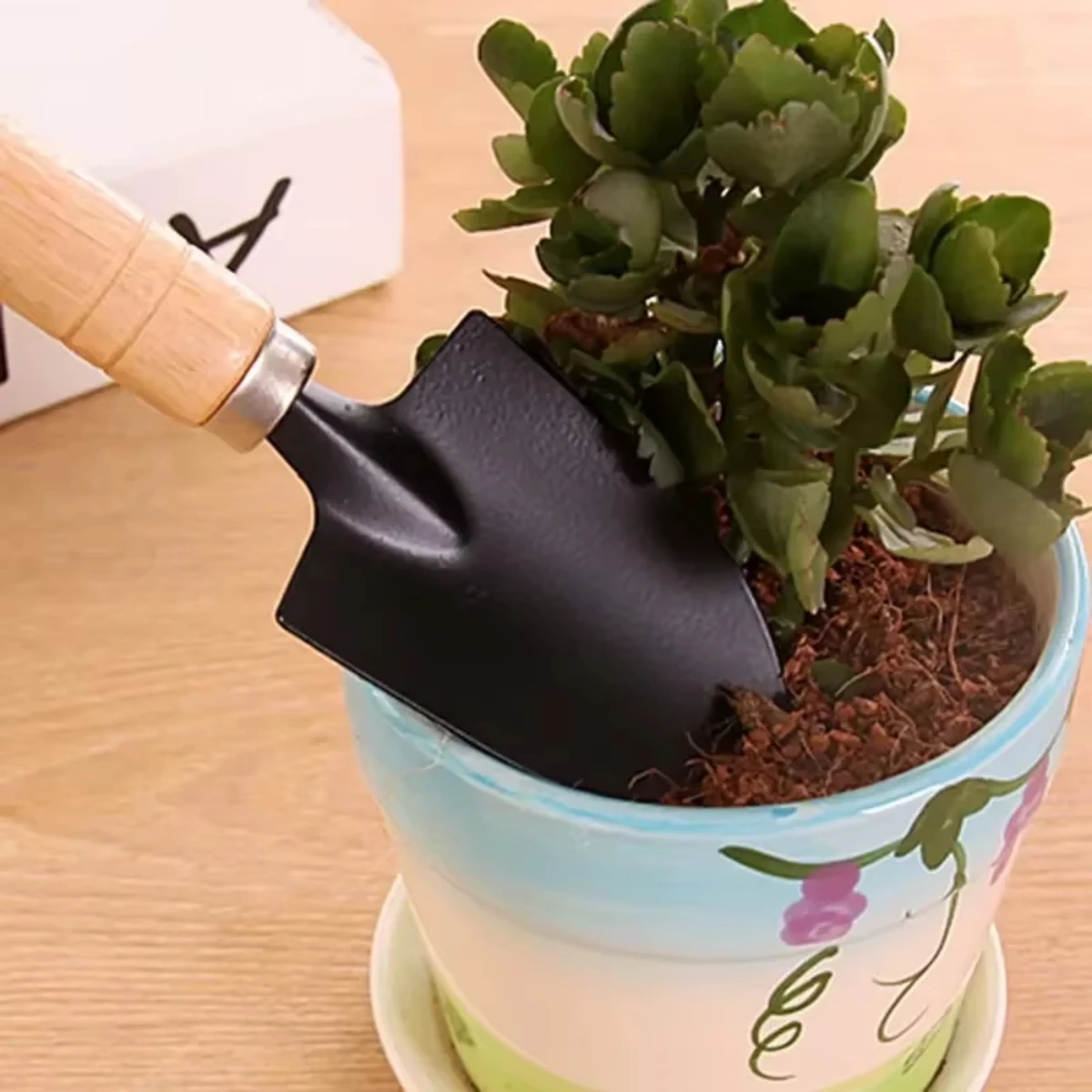 정원용 미니 도구 세트 3개입: 화분, 선인장, 채소, - Terracotta Pot 리뷰 및 가격