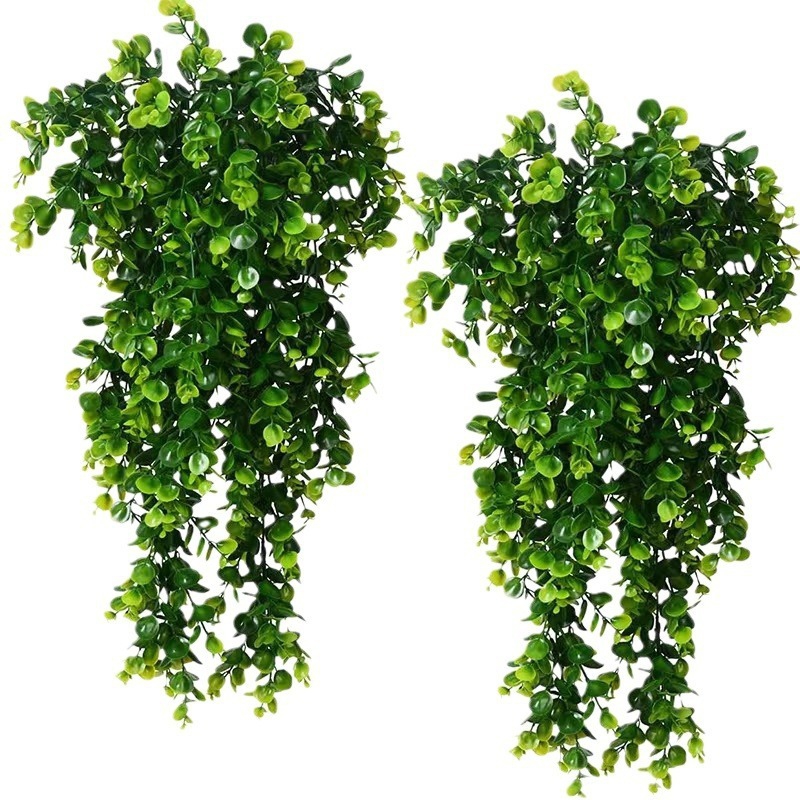 1Pcs 인공 5 포크 등나무 유칼립투스 벽 교수형 시 - Snake Plant 리뷰 및 가격