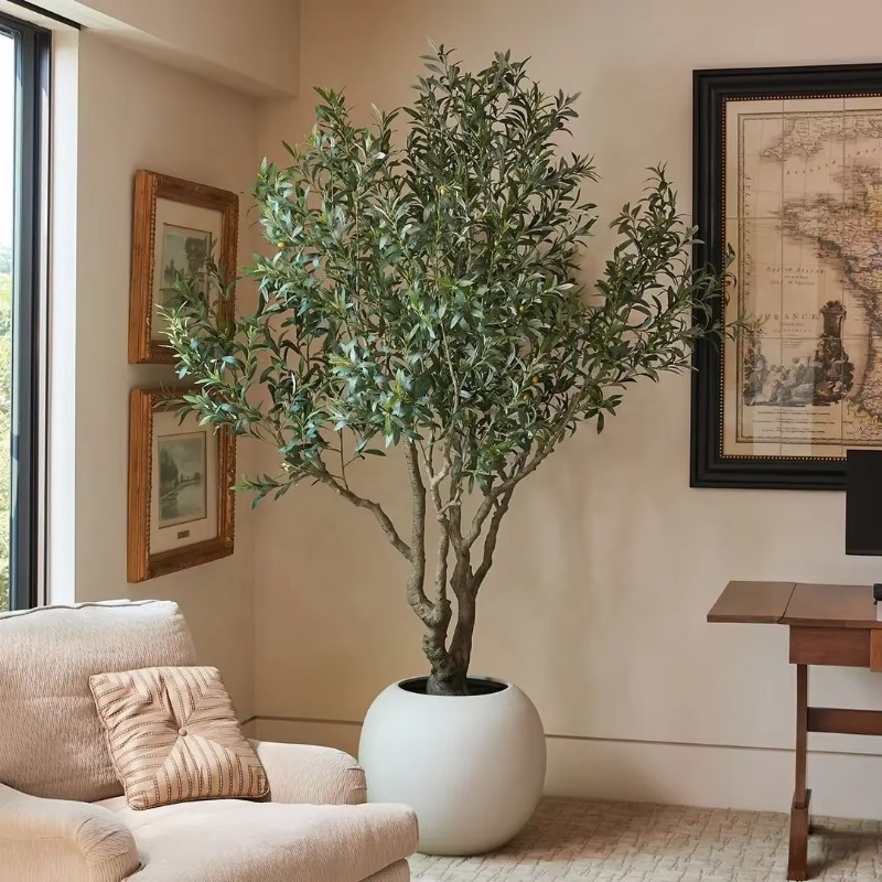 맞춤형 90cm 120cm 150cm 180cm 210 - Indoor Plants 리뷰 및 가격