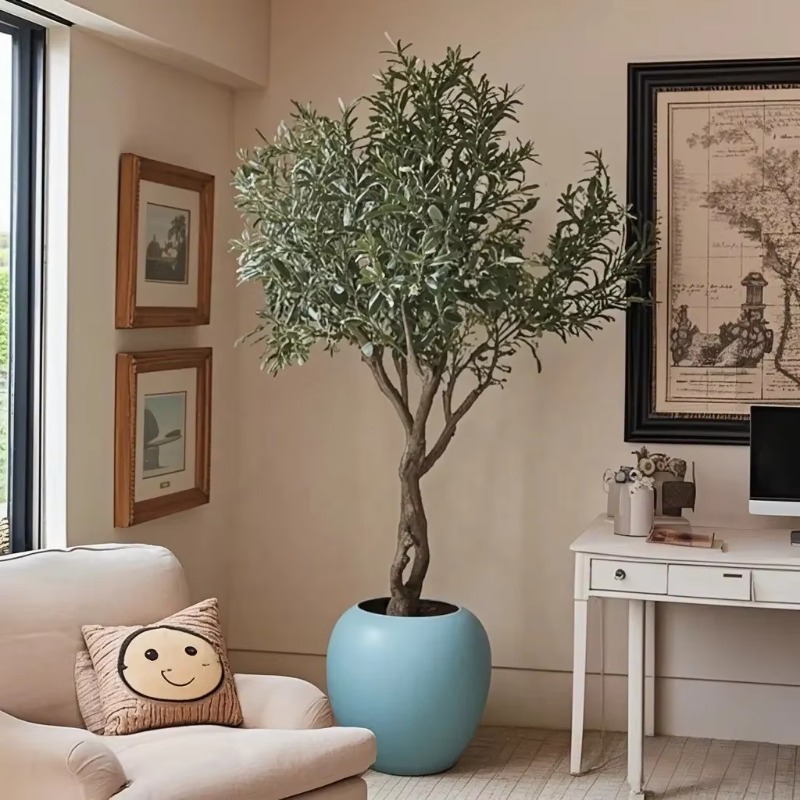 맞춤형 90cm 120cm 150cm 180cm 210 - Indoor Plants 리뷰 및 가격