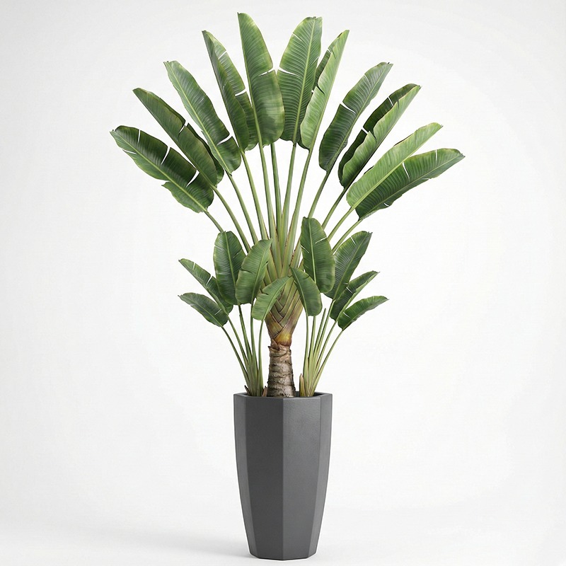 고도로 시뮬레이션된 플라스틱 피들리프 무화과 인조 분재 - Fiddle Leaf Fig 리뷰 및 가격