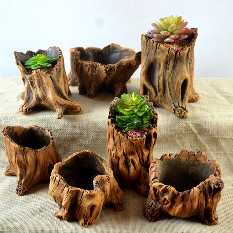모조 나무 말뚝 나무 뿌리 식물 심기 화분에 심은 식물 - Succulent Set 리뷰 및 가격