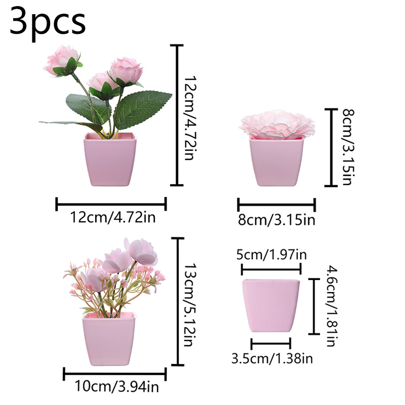 (3PCS 세트) 집, 레스토랑, 탁상, 창턱 및 책장 - Succulent Set 리뷰 및 가격