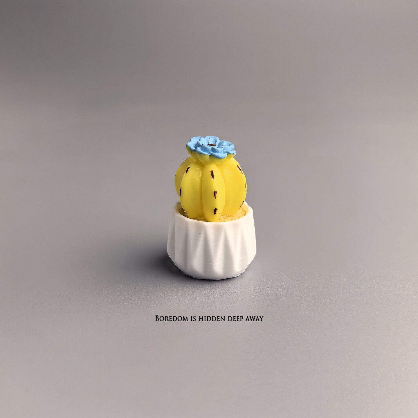 화분에 심은 선인장 다육식물 미니 워크스테이션 사무실  - Succulent Set 리뷰 및 가격