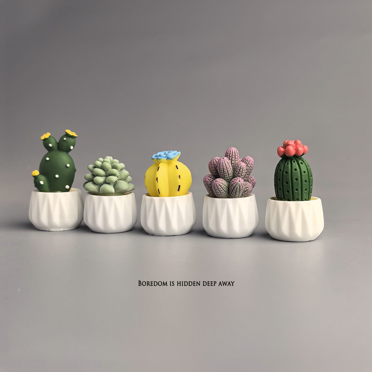화분에 심은 선인장 다육식물 미니 워크스테이션 사무실  - Succulent Set 리뷰 및 가격