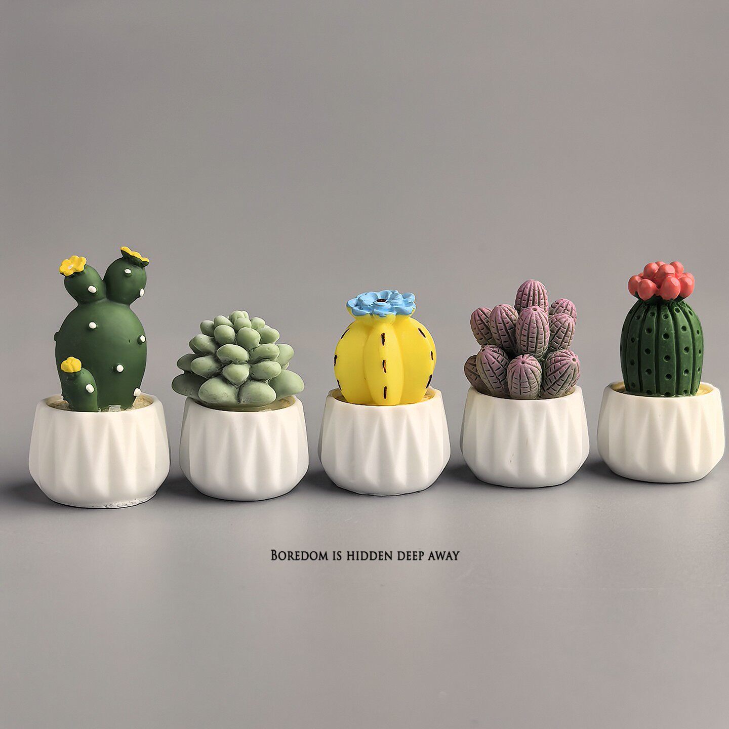 화분에 심은 선인장 다육식물 미니 워크스테이션 사무실  - Succulent Set 리뷰 및 가격