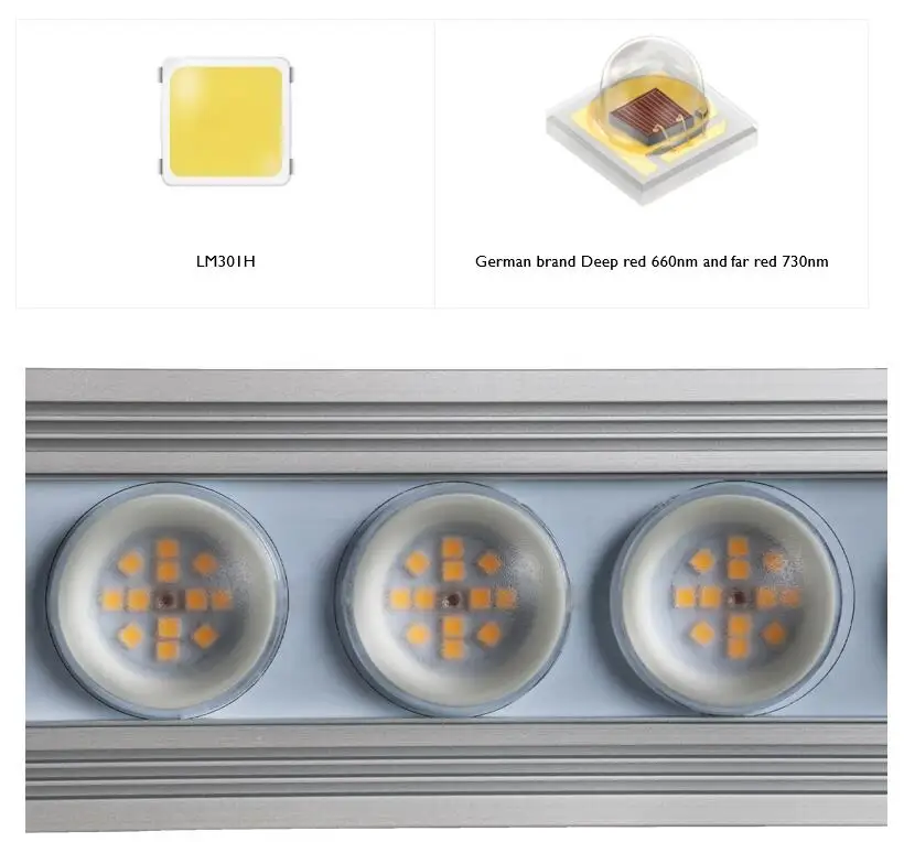 코레이 900W 실내용 풀 스펙트럼 식물등 LED 스트 - Indoor Plants 리뷰 및 가격