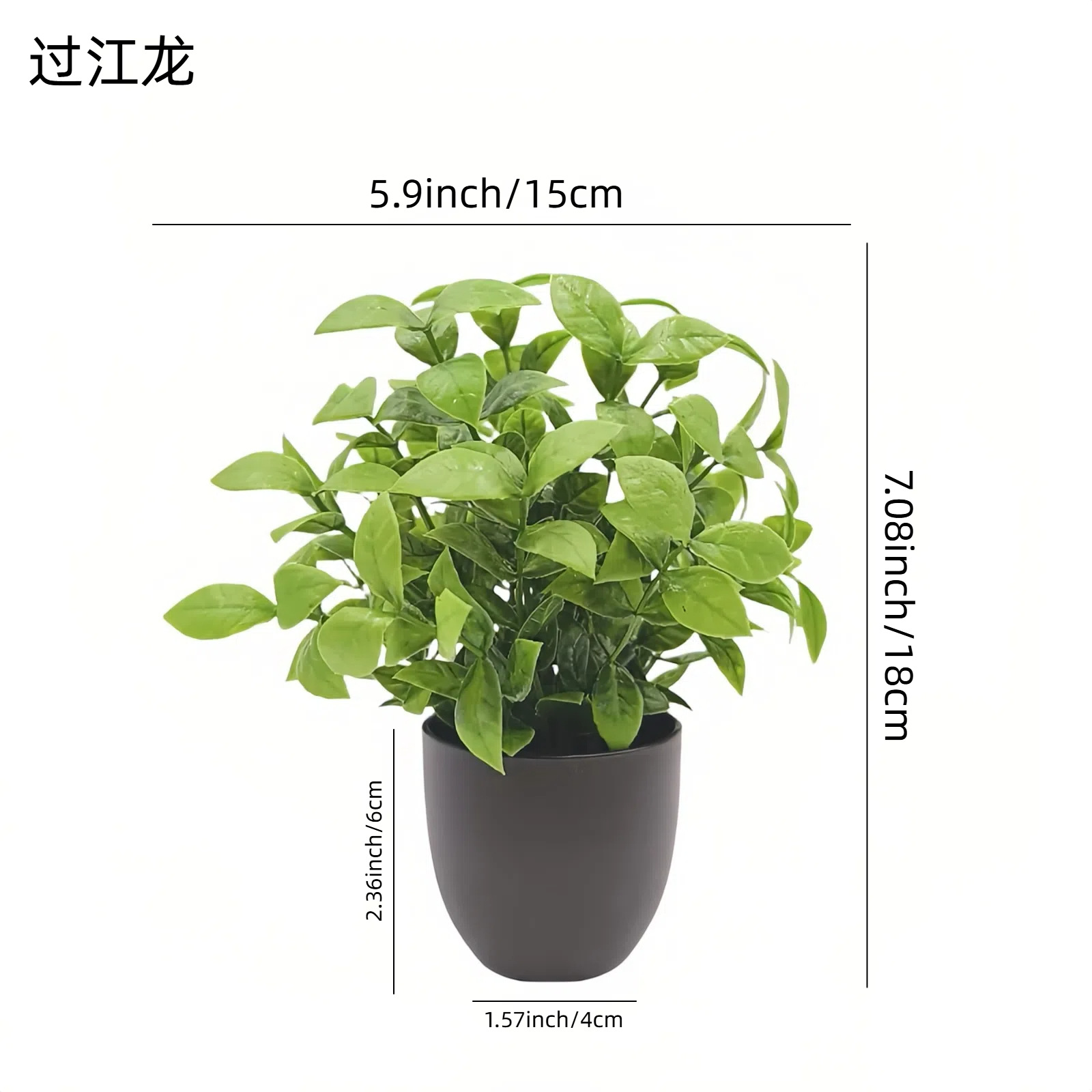 시뮬레이션 녹색 식물 분재 해외 직구 사무실 인테리어  - Succulent Set 리뷰 및 가격