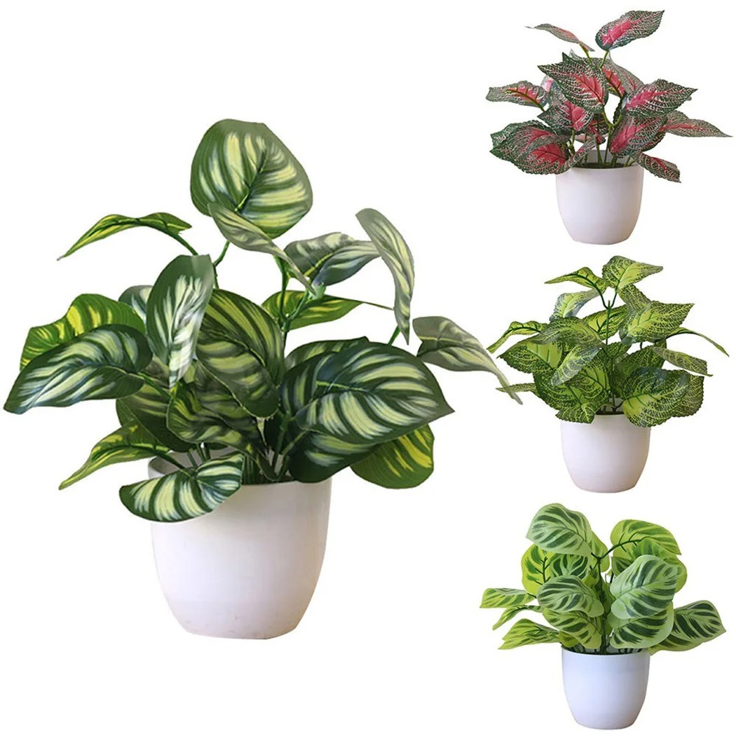 1PC 인공 단풍 식물 냄비 분재 파티 몰 홈 데스크탑 - Snake Plant 리뷰 및 가격