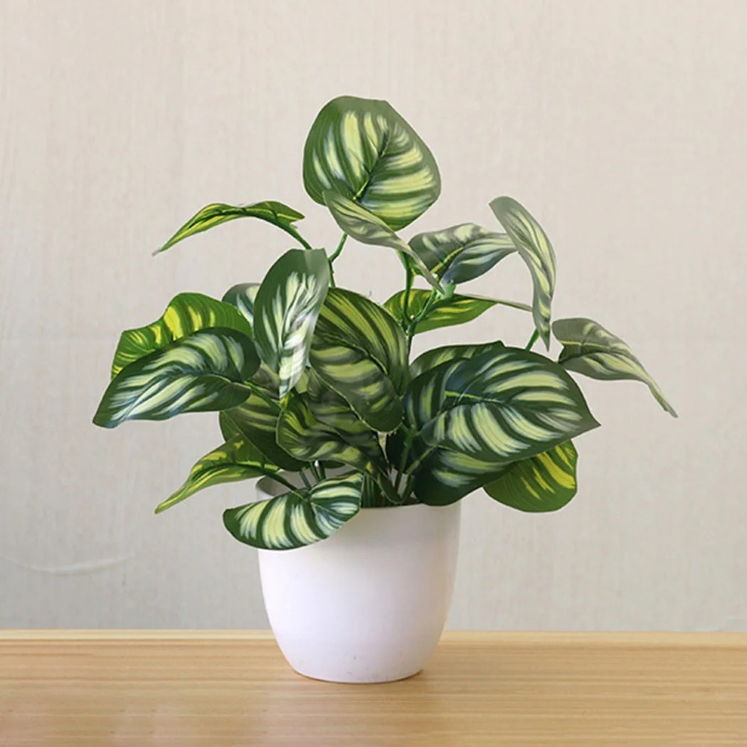 1PC 인공 단풍 식물 냄비 분재 파티 몰 홈 데스크탑 - Snake Plant 리뷰 및 가격