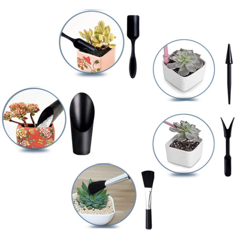 미니 원예 도구 세트 라벨 보드 플라스틱 정원 식물 가 - Succulent Set 리뷰 및 가격