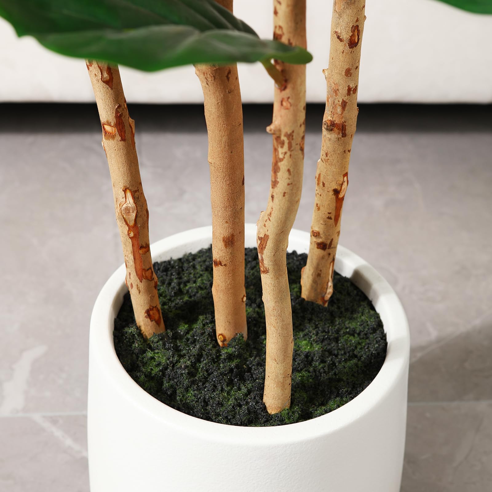 흰색 화분에 담긴 인조 피들리프 피규스 나무, 높이 5 - Fiddle Leaf Fig 리뷰 및 가격