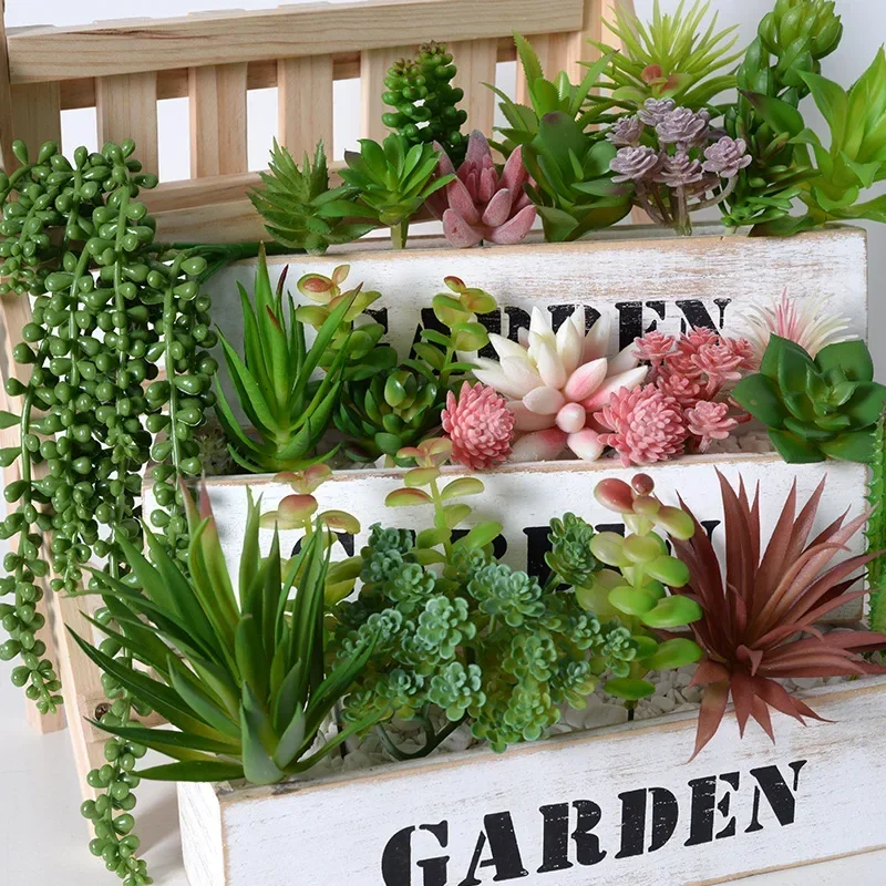 10/20Pcs PVC 다육 식물 가정 정원을위한 녹색 - Snake Plant 리뷰 및 가격