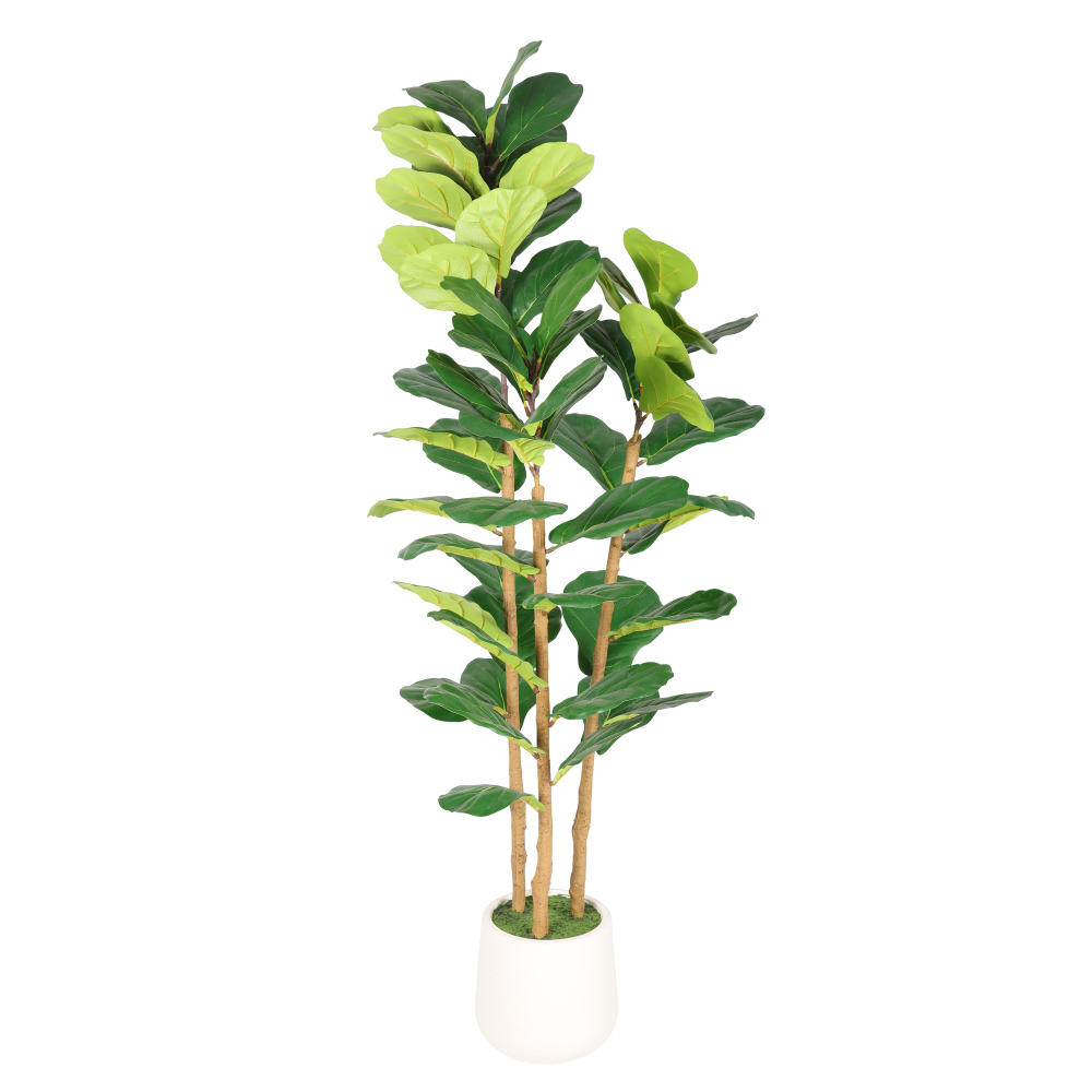 5.2피트 인조 바이올린잎 무화과나무, 장식용 흰색 화 - Fiddle Leaf Fig 리뷰 및 가격